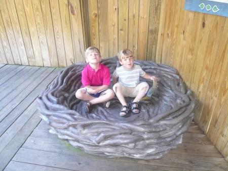 Zoo d'Atlanta